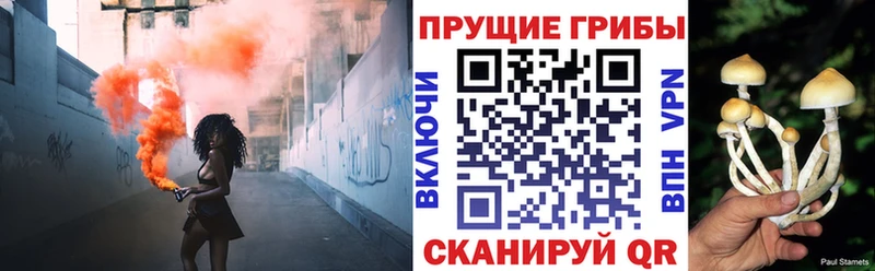 Галлюциногенные грибы мицелий  Купить закладки  Грозный 